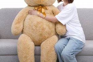Buy Giant Teddy Bears Online: Big Plush Toys Safem Fabrication - Precision Engineering & Custom Manufacturing Solutions Buy Giant Teddy Bears Online: Big Plush Toys | Safem Fabrication - Precision Engineering & Custom Manufacturing Solutions