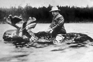 The Legend of Teddy Roosevelt and the Moose Safem Fabrication - Precision Engineering & Custom Manufacturing Solutions The Legend of Teddy Roosevelt and the Moose | Safem Fabrication - Precision Engineering & Custom Manufacturing Solutions