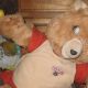 Is Teddy Ruxpin Creepy? Fact vs. Fiction | Teddy Information – Everything You Need to Know About Teddy Bears