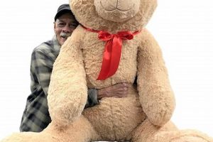 Best Giant Teddy Reviews & Buyer's Guide Safem Fabrication - Precision Engineering & Custom Manufacturing Solutions Best Giant Teddy Reviews & Buyer's Guide | Safem Fabrication - Precision Engineering & Custom Manufacturing Solutions