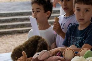 Best Teddy Bear Stores in Bridgeport, CT Safem Fabrication - Precision Engineering & Custom Manufacturing Solutions Best Teddy Bear Stores in Bridgeport, CT | Safem Fabrication - Precision Engineering & Custom Manufacturing Solutions