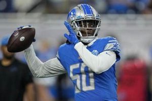 Teddy Bridgewater's NFL Salary & Career Earnings Safem Fabrication - Precision Engineering & Custom Manufacturing Solutions Teddy Bridgewater's NFL Salary & Career Earnings | Safem Fabrication - Precision Engineering & Custom Manufacturing Solutions