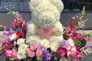 Charming Teddy Bear Flowers: Care & Growing Guide Safem Fabrication - Precision Engineering & Custom Manufacturing Solutions Charming Teddy Bear Flowers: Care & Growing Guide | Safem Fabrication - Precision Engineering & Custom Manufacturing Solutions