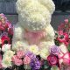 Charming Teddy Bear Flowers: Care & Growing Guide | Safem Fabrication - Precision Engineering & Custom Manufacturing Solutions