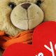 Cute Love Teddy Bear Pics: Adorable Images | Teddy Information – Everything You Need to Know About Teddy Bears