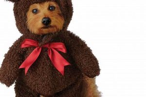 Cuddly Teddy Bear Costumes for Your Dog Safem Fabrication - Precision Engineering & Custom Manufacturing Solutions Cuddly Teddy Bear Costumes for Your Dog | Safem Fabrication - Precision Engineering & Custom Manufacturing Solutions