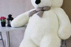White Big Teddy Teddy Information – Everything You Need to Know About Teddy Bears White Big Teddy | Teddy Information – Everything You Need to Know About Teddy Bears
