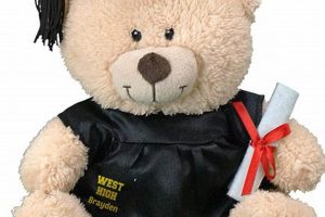 Cute Graduation Teddy Bears: Class of 2024 Safem Fabrication - Precision Engineering & Custom Manufacturing Solutions Cute Graduation Teddy Bears: Class of 2024 | Safem Fabrication - Precision Engineering & Custom Manufacturing Solutions