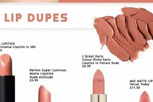 Best Velvet Teddy Dupes: Top Lipstick Alternatives Safem Fabrication - Precision Engineering & Custom Manufacturing Solutions Best Velvet Teddy Dupes: Top Lipstick Alternatives | Safem Fabrication - Precision Engineering & Custom Manufacturing Solutions