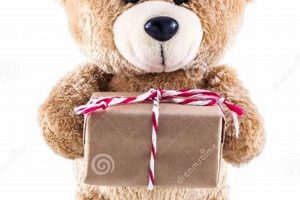 Best Teddy Bear Boxes: Storage & Display Teddy Information – Everything You Need to Know About Teddy Bears Best Teddy Bear Boxes: Storage & Display | Teddy Information – Everything You Need to Know About Teddy Bears