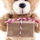 Best Teddy Bear Boxes: Storage & Display | Safem Fabrication - Precision Engineering & Custom Manufacturing Solutions