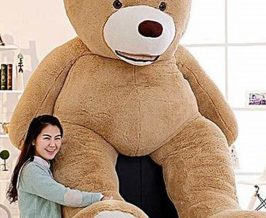 Giant 10-Foot Teddy Bears: Big & Cuddly Teddy Information – Everything You Need to Know About Teddy Bears Giant 10-Foot Teddy Bears: Big & Cuddly | Teddy Information – Everything You Need to Know About Teddy Bears
