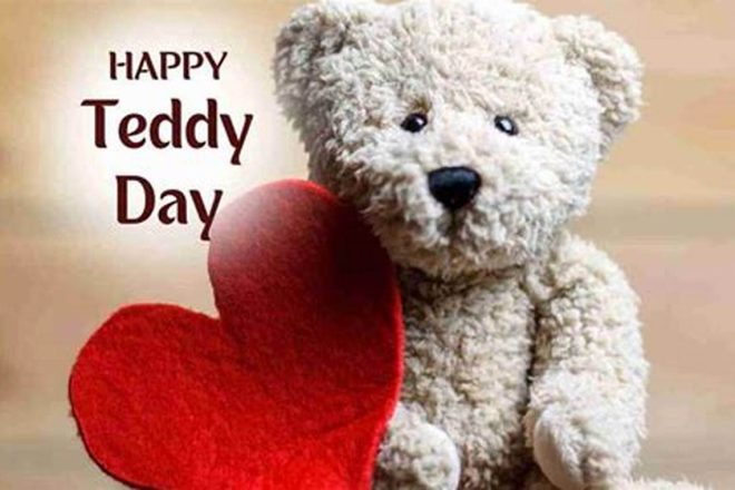 My Day Teddy: Comfort & Calm Teddy Information – Everything You Need to Know About Teddy Bears My Day Teddy: Comfort & Calm | Teddy Information – Everything You Need to Know About Teddy Bears