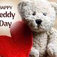 My Day Teddy: Comfort & Calm | Teddy Information – Everything You Need to Know About Teddy Bears