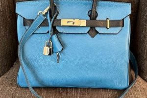 Stylish Teddy Blake Caty Bag Review & Guide Teddy Information – Everything You Need to Know About Teddy Bears Stylish Teddy Blake Caty Bag Review & Guide | Teddy Information – Everything You Need to Know About Teddy Bears