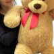 Giant 3 Feet Teddy Bears: Cuddly & Cute | Teddy Information – Everything You Need to Know About Teddy Bears