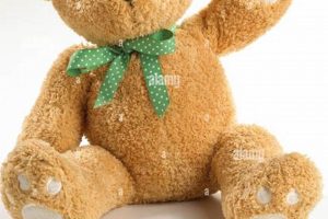Soft Teddy Bear Paws Slippers for Comfort Teddy Information – Everything You Need to Know About Teddy Bears Soft Teddy Bear Paws Slippers for Comfort | Teddy Information – Everything You Need to Know About Teddy Bears