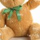 Soft Teddy Bear Paws Slippers for Comfort | Teddy Information – Everything You Need to Know About Teddy Bears