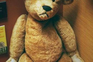 The Story of How the Teddy Bear Got Its Name Teddy Information – Everything You Need to Know About Teddy Bears The Story of How the Teddy Bear Got Its Name | Teddy Information – Everything You Need to Know About Teddy Bears