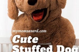 Cute Teddy Dog Names: 50+ Cuddly Ideas Safem Fabrication - Precision Engineering & Custom Manufacturing Solutions Cute Teddy Dog Names: 50+ Cuddly Ideas | Safem Fabrication - Precision Engineering & Custom Manufacturing Solutions