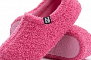 Cozy Teddy Slippers for Women: Ultimate Comfort | Teddy Information – Everything You Need to Know About Teddy Bears