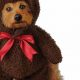 Cute Teddy Bear Suits for Cozy Dogs | Teddy Information – Everything You Need to Know About Teddy Bears