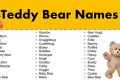 Cute Teddy Bear Names: 50+ Adorable Ideas Teddy Information – Everything You Need to Know About Teddy Bears Cute Teddy Bear Names: 50+ Adorable Ideas | Teddy Information – Everything You Need to Know About Teddy Bears