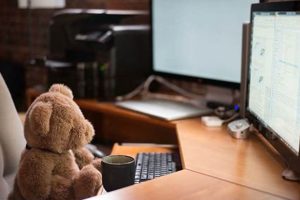 Understanding the Teddy Bear Personality: Traits & Strengths | Teddy Information – Everything You Need to Know About Teddy Bears