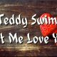 Official Teddy Swims "Let Me Love You" Lyrics + Meaning | Teddy Information – Everything You Need to Know About Teddy Bears