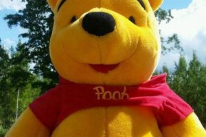 Giant Winnie the Pooh Teddy Bears: Big & Cuddly | Teddy Information – Everything You Need to Know About Teddy Bears