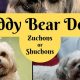 Teddy Bear Dog Lifespan: How Long Do They Live? | Teddy Information – Everything You Need to Know About Teddy Bears