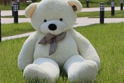 Giant Big Teddy Bear White Plush Toys Teddy Information – Everything You Need to Know About Teddy Bears Giant Big Teddy Bear White Plush Toys | Teddy Information – Everything You Need to Know About Teddy Bears