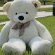 Giant Big Teddy Bear White Plush Toys | Teddy Information – Everything You Need to Know About Teddy Bears