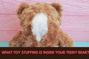 Inside a Teddy Bear: Secrets Revealed! Teddy Information – Everything You Need to Know About Teddy Bears Inside a Teddy Bear: Secrets Revealed! | Teddy Information – Everything You Need to Know About Teddy Bears
