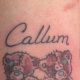 Cute Teddy Name Tattoo Designs & Ideas | Teddy Information – Everything You Need to Know About Teddy Bears