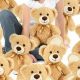 Adorable Tiny Stuffed Teddy Bears for Sale | Teddy Information – Everything You Need to Know About Teddy Bears