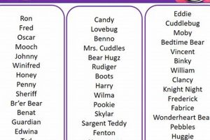 Top 50+ Cute & Best Names for Your Teddy Bear | Teddy Information – Everything You Need to Know About Teddy Bears