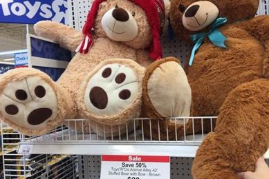 Giant Teddy Bears: Toys "R" Us Nostalgia Teddy Information – Everything You Need to Know About Teddy Bears Giant Teddy Bears: Toys "R" Us Nostalgia | Teddy Information – Everything You Need to Know About Teddy Bears