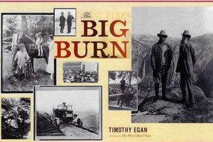 The Big Burn: Teddy Roosevelt & the 1910 Fire | Teddy Information – Everything You Need to Know About Teddy Bears