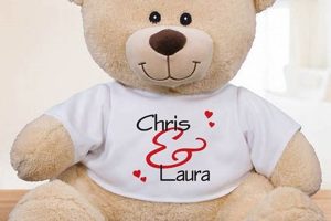 Cuddly Teddy Bears: Perfect Gifts for Boyfriends | Teddy Information – Everything You Need to Know About Teddy Bears