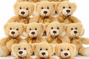 Cuddly Pack of Teddy Bears: Joyful Gifts | Teddy Information – Everything You Need to Know About Teddy Bears