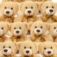 Cuddly Pack of Teddy Bears: Joyful Gifts | Teddy Information – Everything You Need to Know About Teddy Bears