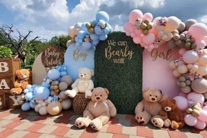 Teddy Bear Gender Reveal Teddy Information – Everything You Need to Know About Teddy Bears Teddy Bear Gender Reveal | Teddy Information – Everything You Need to Know About Teddy Bears