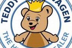 Teddy's VW Service: Expert Care for Your Volkswagen | Teddy Information – Everything You Need to Know About Teddy Bears