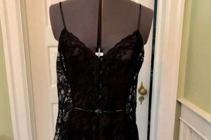 Luxurious Sheer Black Lace Teddy Lingerie | Teddy Information – Everything You Need to Know About Teddy Bears