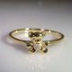 Adorable Teddy Bear Rings: Shop Now | Teddy Information – Everything You Need to Know About Teddy Bears