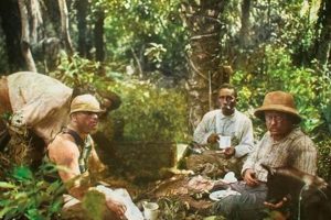 Teddy Roosevelt's Amazon Adventure | Teddy Information – Everything You Need to Know About Teddy Bears