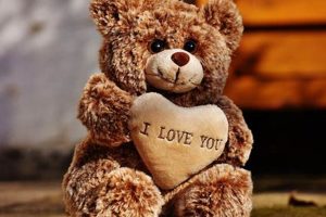 Cuddly Teddy Love Bears: Shop Our Collection Safem Fabrication - Precision Engineering & Custom Manufacturing Solutions Cuddly Teddy Love Bears: Shop Our Collection | Safem Fabrication - Precision Engineering & Custom Manufacturing Solutions