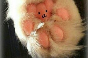 Plush Cat Paw Teddy Bears & Kitten Toys Teddy Information – Everything You Need to Know About Teddy Bears Plush Cat Paw Teddy Bears & Kitten Toys | Teddy Information – Everything You Need to Know About Teddy Bears