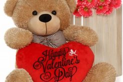 Big Teddy Bear For Valentine's Day Teddy Information – Everything You Need to Know About Teddy Bears Big Teddy Bear For Valentine's Day | Teddy Information – Everything You Need to Know About Teddy Bears